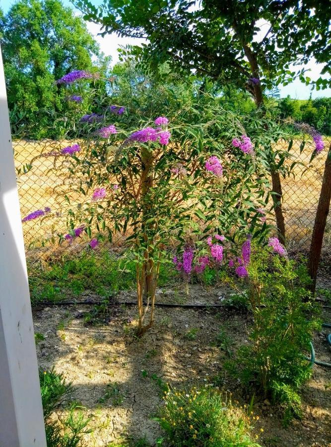 La Casa Di Tara B&B Armonia E Natura Ρεκανάτι Εξωτερικό φωτογραφία