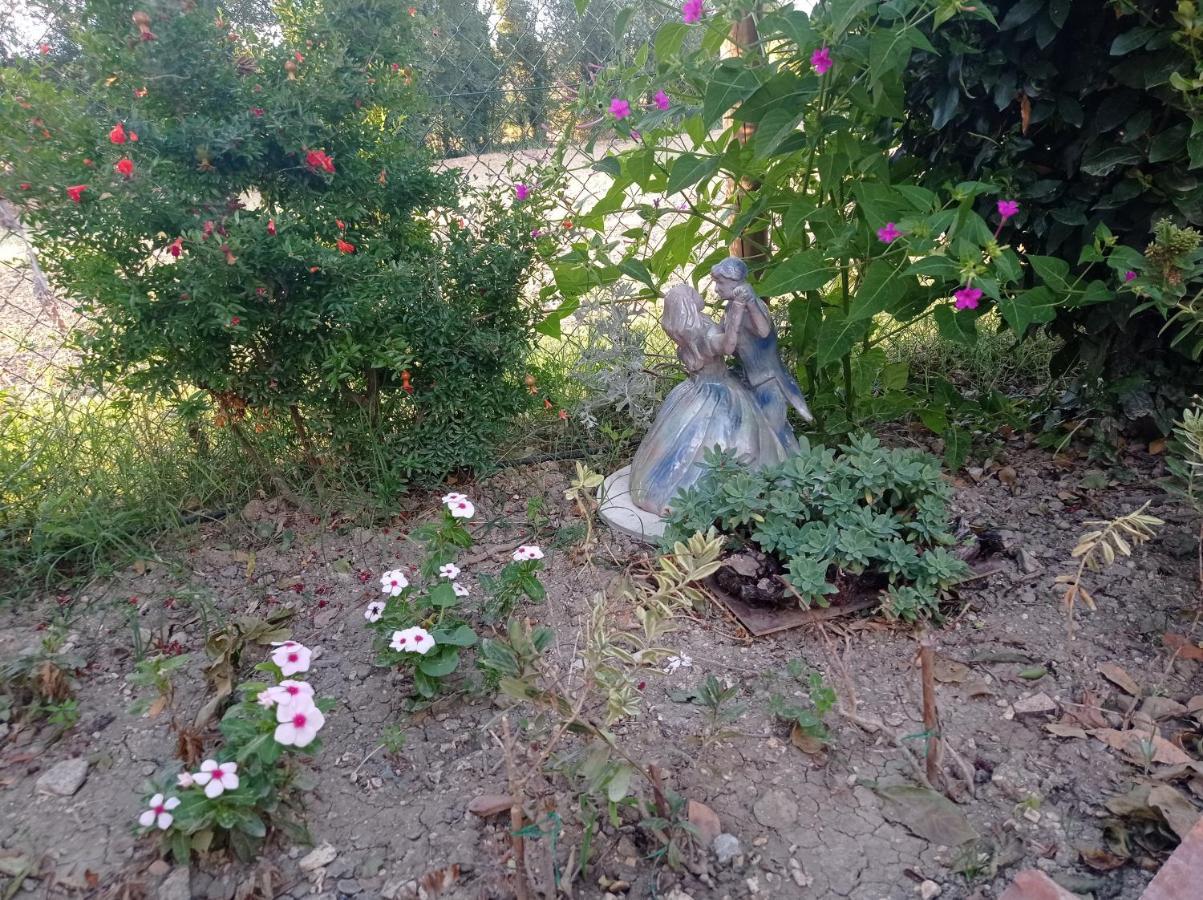 La Casa Di Tara B&B Armonia E Natura Ρεκανάτι Εξωτερικό φωτογραφία
