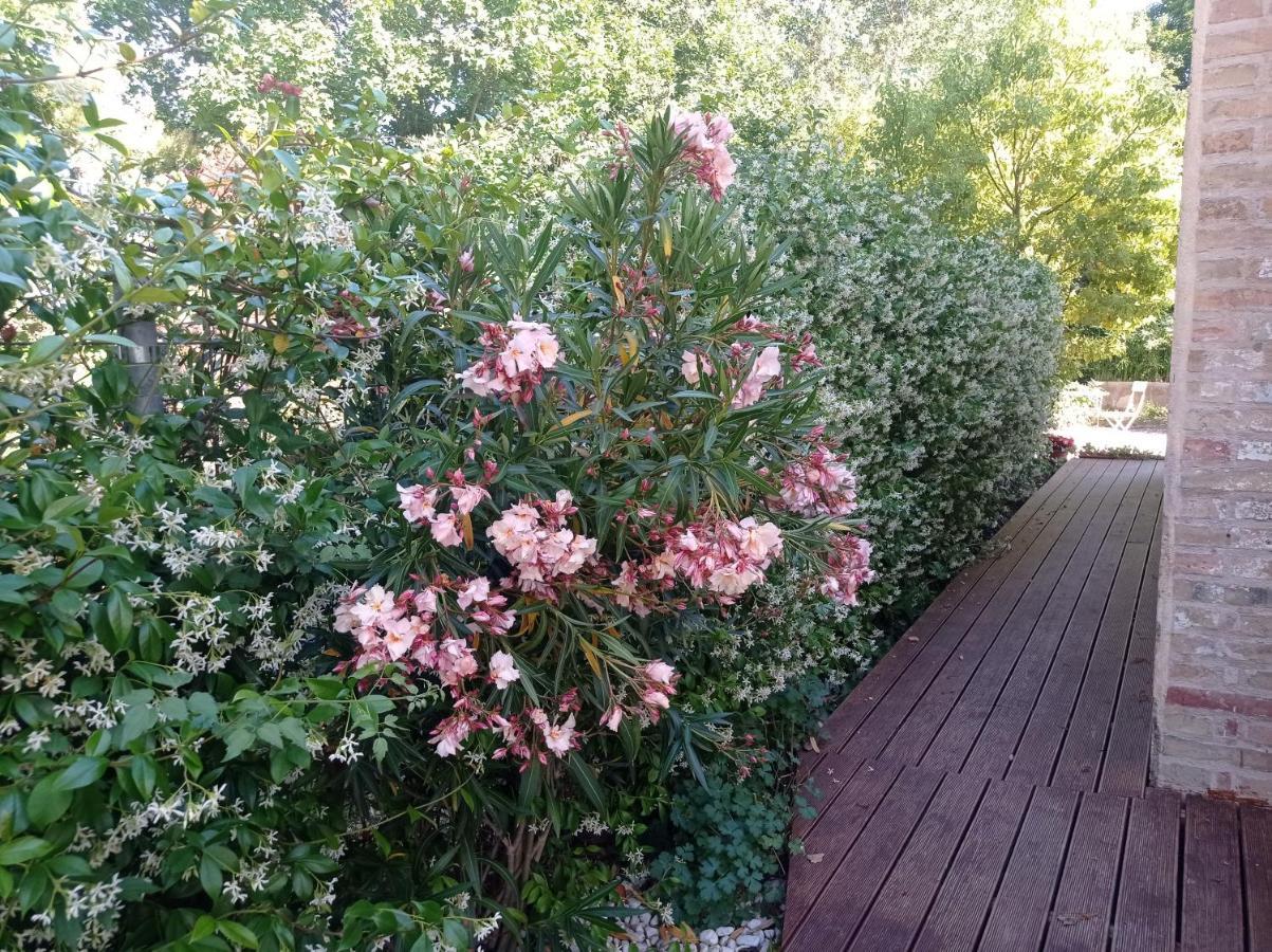 La Casa Di Tara B&B Armonia E Natura Ρεκανάτι Εξωτερικό φωτογραφία