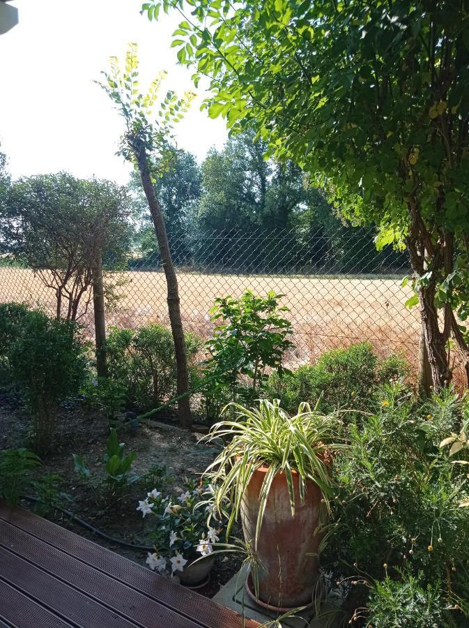 La Casa Di Tara B&B Armonia E Natura Ρεκανάτι Εξωτερικό φωτογραφία