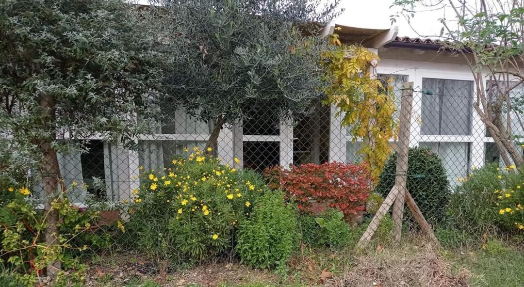 La Casa Di Tara B&B Armonia E Natura Ρεκανάτι Εξωτερικό φωτογραφία