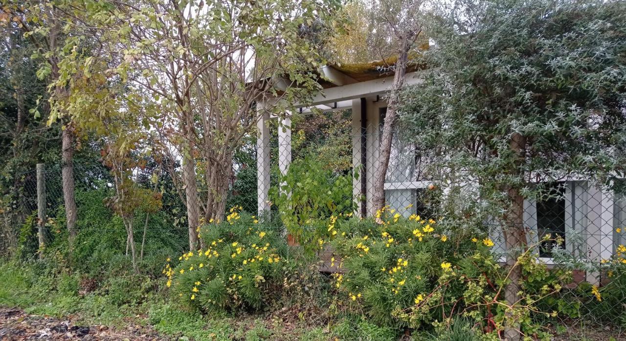 La Casa Di Tara B&B Armonia E Natura Ρεκανάτι Εξωτερικό φωτογραφία