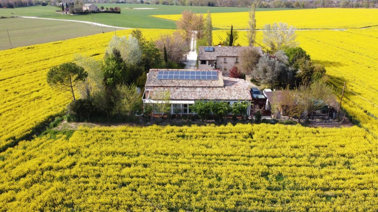 La Casa Di Tara B&B Armonia E Natura Ρεκανάτι Εξωτερικό φωτογραφία