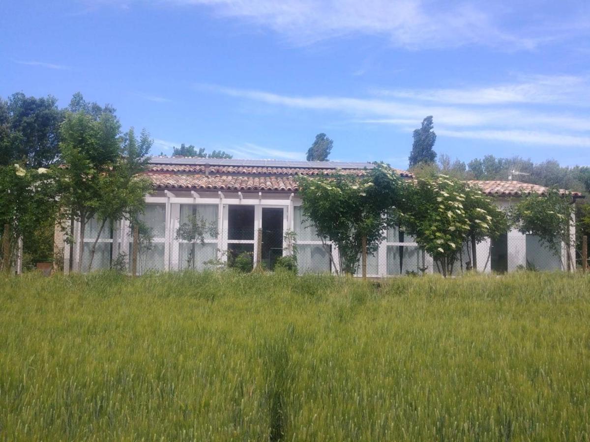 La Casa Di Tara B&B Armonia E Natura Ρεκανάτι Εξωτερικό φωτογραφία