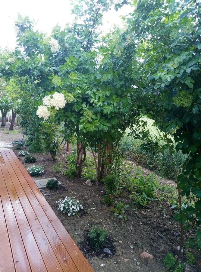 La Casa Di Tara B&B Armonia E Natura Ρεκανάτι Εξωτερικό φωτογραφία