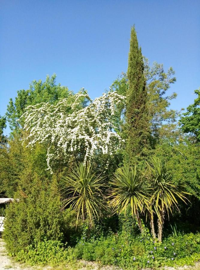 La Casa Di Tara B&B Armonia E Natura Ρεκανάτι Εξωτερικό φωτογραφία