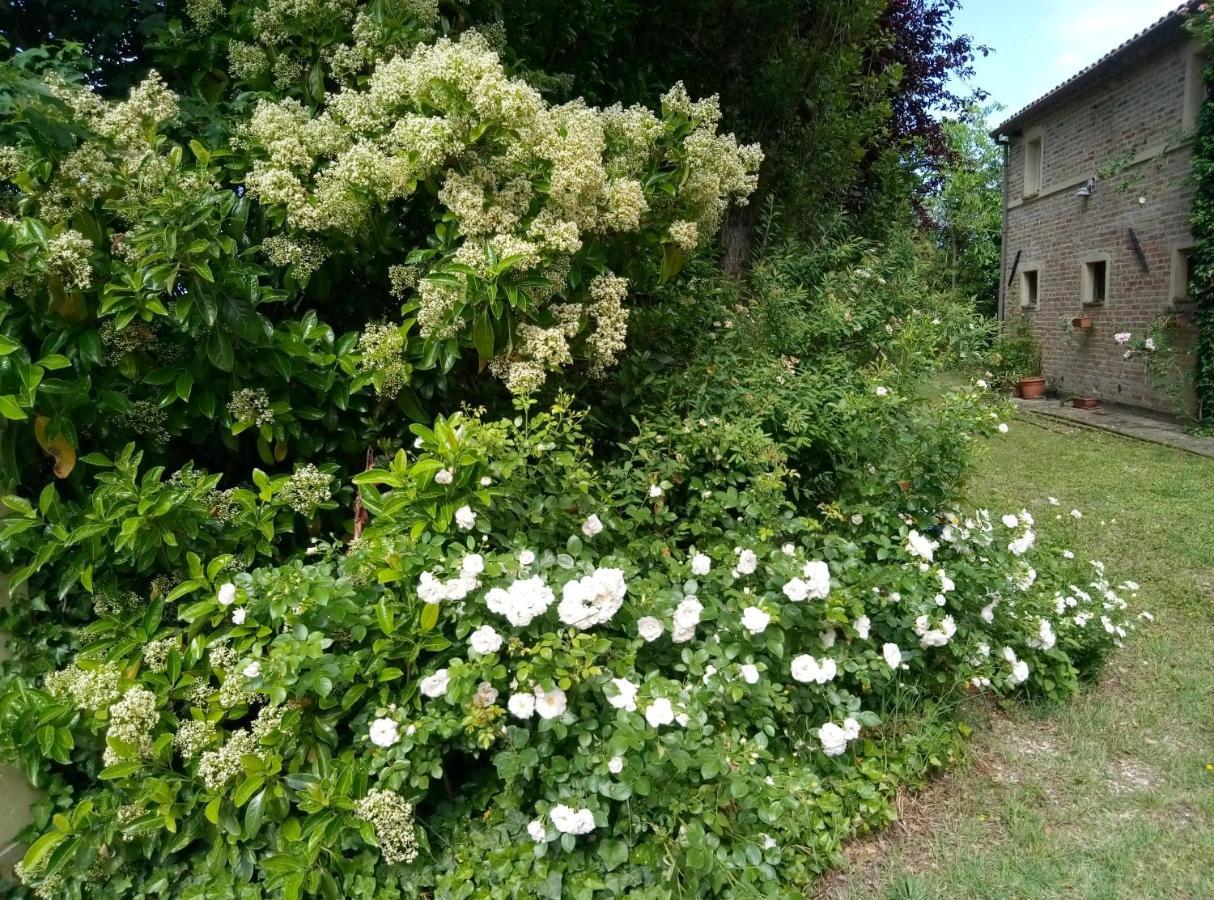 La Casa Di Tara B&B Armonia E Natura Ρεκανάτι Εξωτερικό φωτογραφία