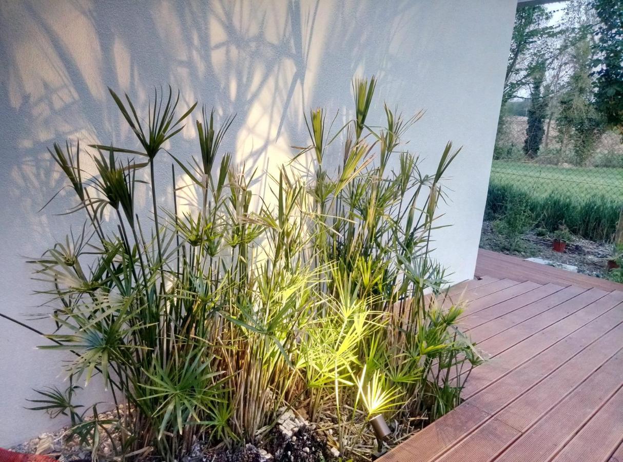 La Casa Di Tara B&B Armonia E Natura Ρεκανάτι Εξωτερικό φωτογραφία
